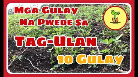 mga gulay na nabubuhay sa tag int
